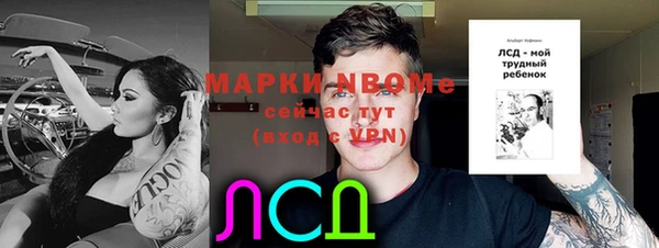 прущий лед Аркадак