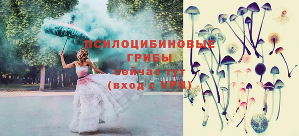 твердый Арсеньев