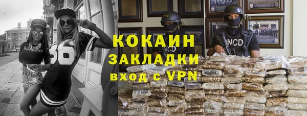 твердый Арсеньев